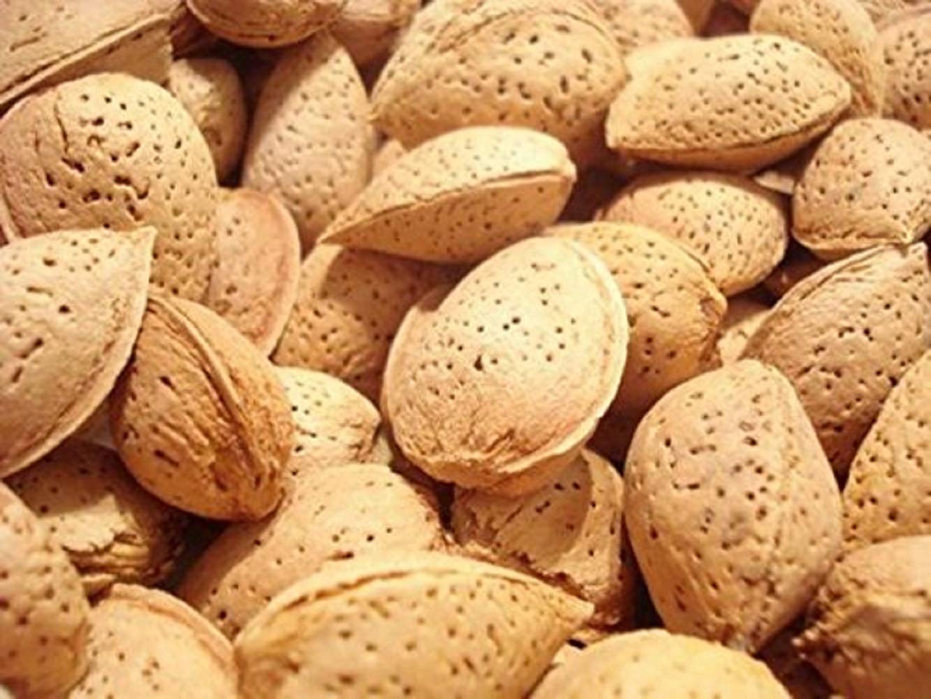 Natural In Shell Raw California Almonds (3 Lbs.) - Pure Goodness Bursting with Natural Flavors - Vegan & Keto Friendly - Healthy for Snacking - Farm