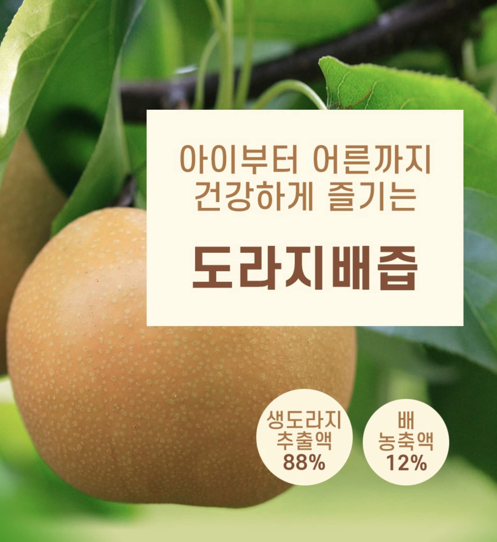 Premium Extract Juice Pouches, Great for Health Benefits (Balloon Flower and Pear, 100ml x 30)