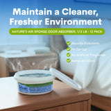 ODOR ABSORBER 0.5LB 1PK