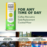 Organic Green Tea + Yerba Mate Drink by Marquis |Antioxidant Infused Sparkling Beverage | Zero Sugars, Zero Calories | Citrus Yuzu Flavor Super Tea |