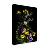 Susan S. Barmon 'Rosemary And French Tarragon' Canvas Art