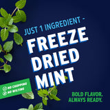 Litehouse Freeze Dried Mint - Substitute for Fresh Mint, Jar Equal to 4 Fresh Bunches, Dried Seasoning, Non-GMO, Gluten-Free - 0.28 Ounce