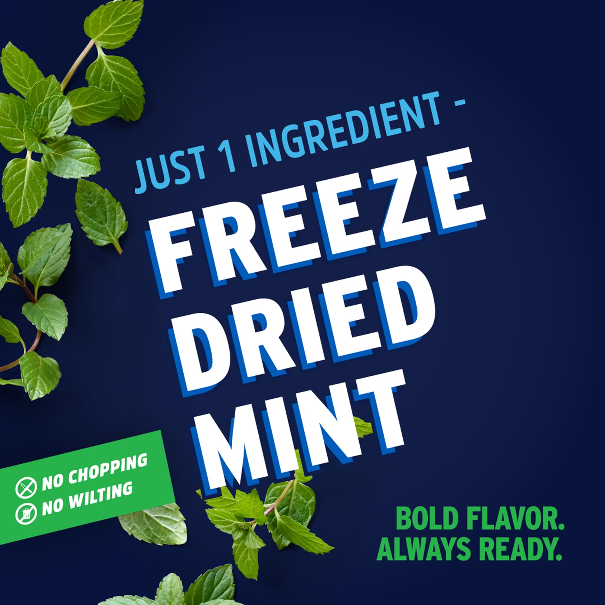 Litehouse Freeze Dried Mint - Substitute for Fresh Mint, Jar Equal to 4 Fresh Bunches, Dried Seasoning, Non-GMO, Gluten-Free - 0.28 Ounce