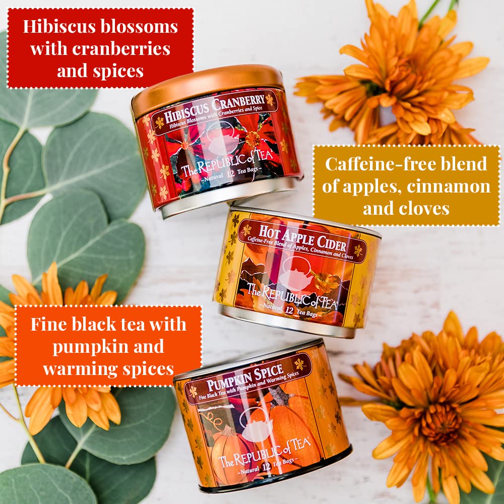 The Republic of Tea - Harvest Stackable Tea Tin, 36 Tea Bags, Hibiscus Cranberry Herb, Hot Apple Cider Herb, and Pumpkin Spice Black, Gluten Free