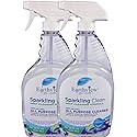Earthview All Purpose Cleaner Fragrance Free 2 pk/ 32 oz- Designed for Environmental Sensitivities (MCS, EI, MI)
