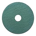 Boardwalk BWK4020GRE 20 in. dia. Heavy-Duty Scrubbing Floor Pads - Green 4 Pack of 5