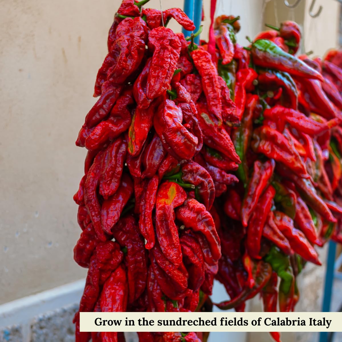 Calabrian Chili Powder, 2.11 oz (60 g), Hot Chili Pepper Powder, Product of Italy, All Natural, Non-GMO, L'Oro Del Sud