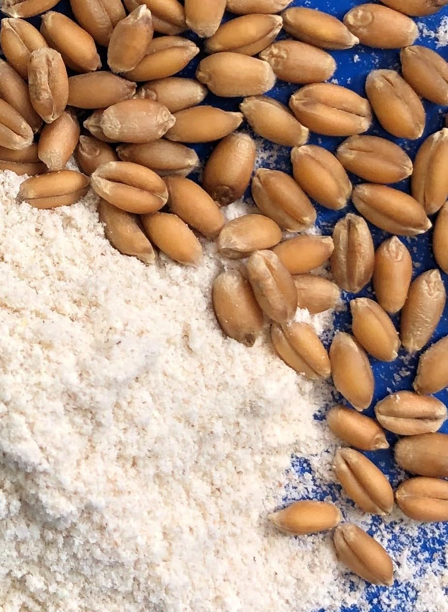 Early Morning Harvest Organic Pastry Flour - Made from Certified Organic, Non-GMO Whole Wheat - Stone Ground Flour for Baking Cooking and Pastries