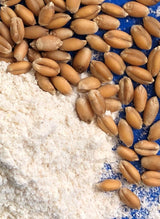 Early Morning Harvest Organic Pastry Flour - Made from Certified Organic, Non-GMO Whole Wheat - Stone Ground Flour for Baking Cooking and Pastries