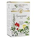 CELEBRATION HERBALS Spearmint Leaf Tea Organic 24 Bag, 0.02 Pound