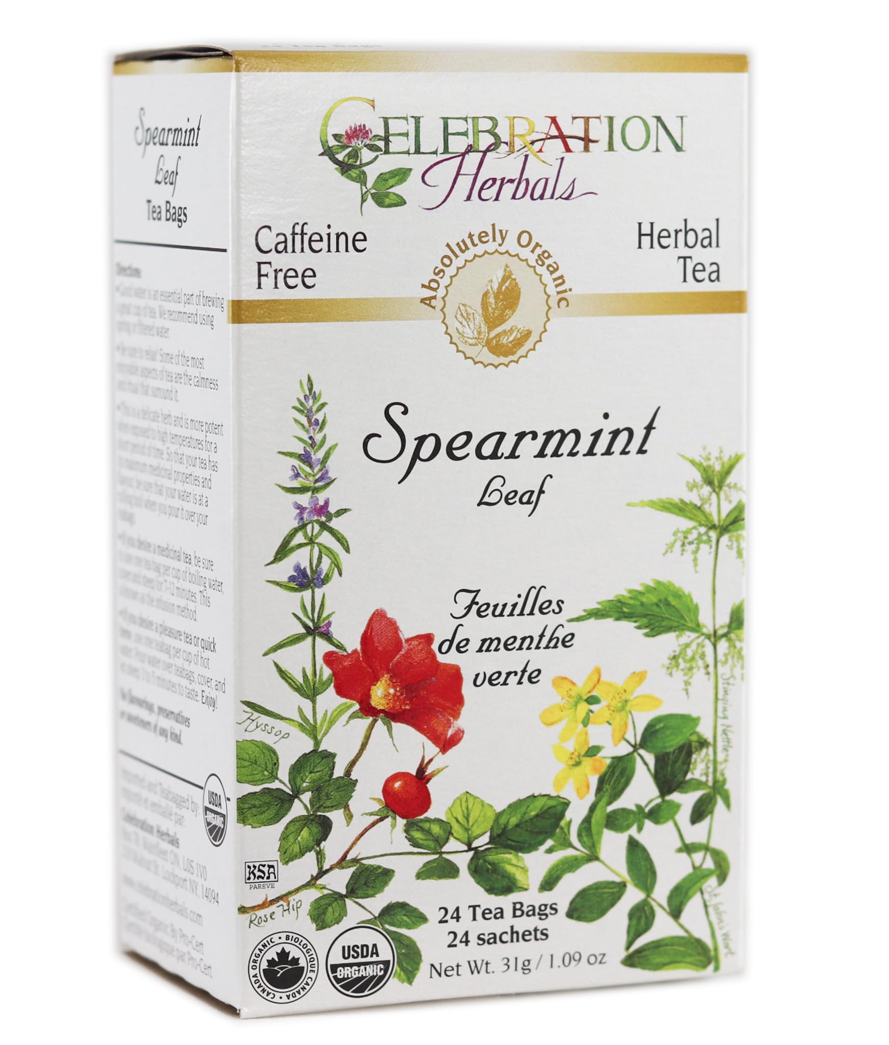 CELEBRATION HERBALS Spearmint Leaf Tea Organic 24 Bag, 0.02 Pound
