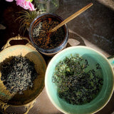 Anima Mundi Apothecary Gynostemma - Wild Grown Jiaogulan Leaf for Tea - Natural Source of Nutrients, Antioxidants, Vitamins and Minerals - Longevity