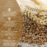 DFOLS Triticale Whole Grain Mild Nutty Wheat Rye Flavor for Cooking 0.55lb 8.82oz (250g) Premium Quality ???????