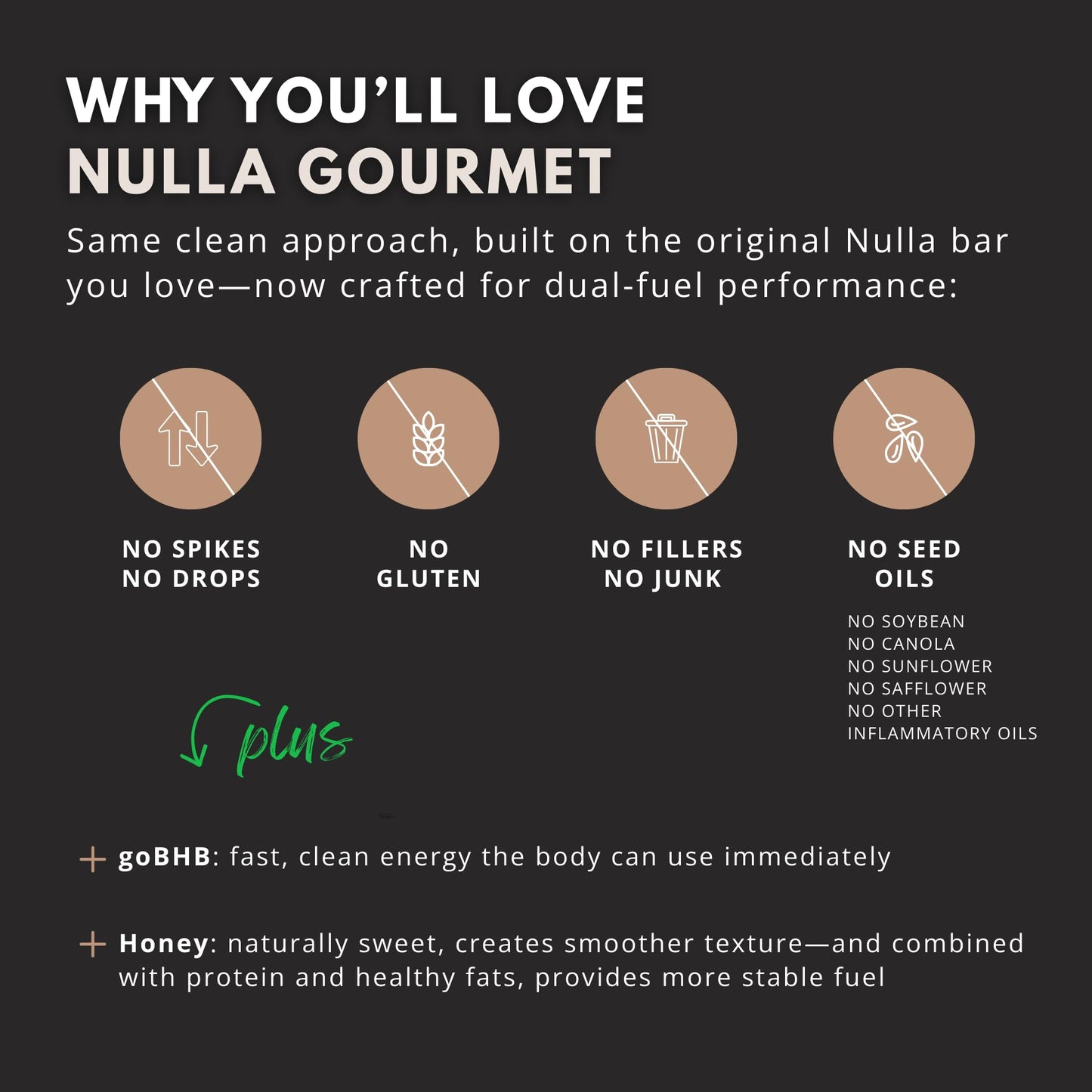 Nulla Gourmet Protein Bar with goBHB & Honey - Chocolate Chip Crisp - 20g Protein, Zero Seed Oils, Gluten Free, Dual-Fuel Performance Energy Snack