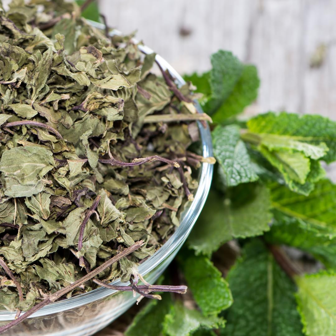 Olive & Vine Spearmint Leaves, Refreshing Mint Flavor, Use in Teas, Salads, Desserts, with Rich Tradition, Authentic Taste, For Global Recipes (0.72