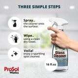 ProSol Works Glass Cleaner 16 oz - All Purpose Cleaning Spray for Glass Doors & Windows, Mirrors & Chrome Surfaces - Glasses Spray Helps Remove