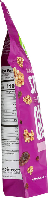 GO RAW GRANOLA RAISIN SPROUTED 16OZ