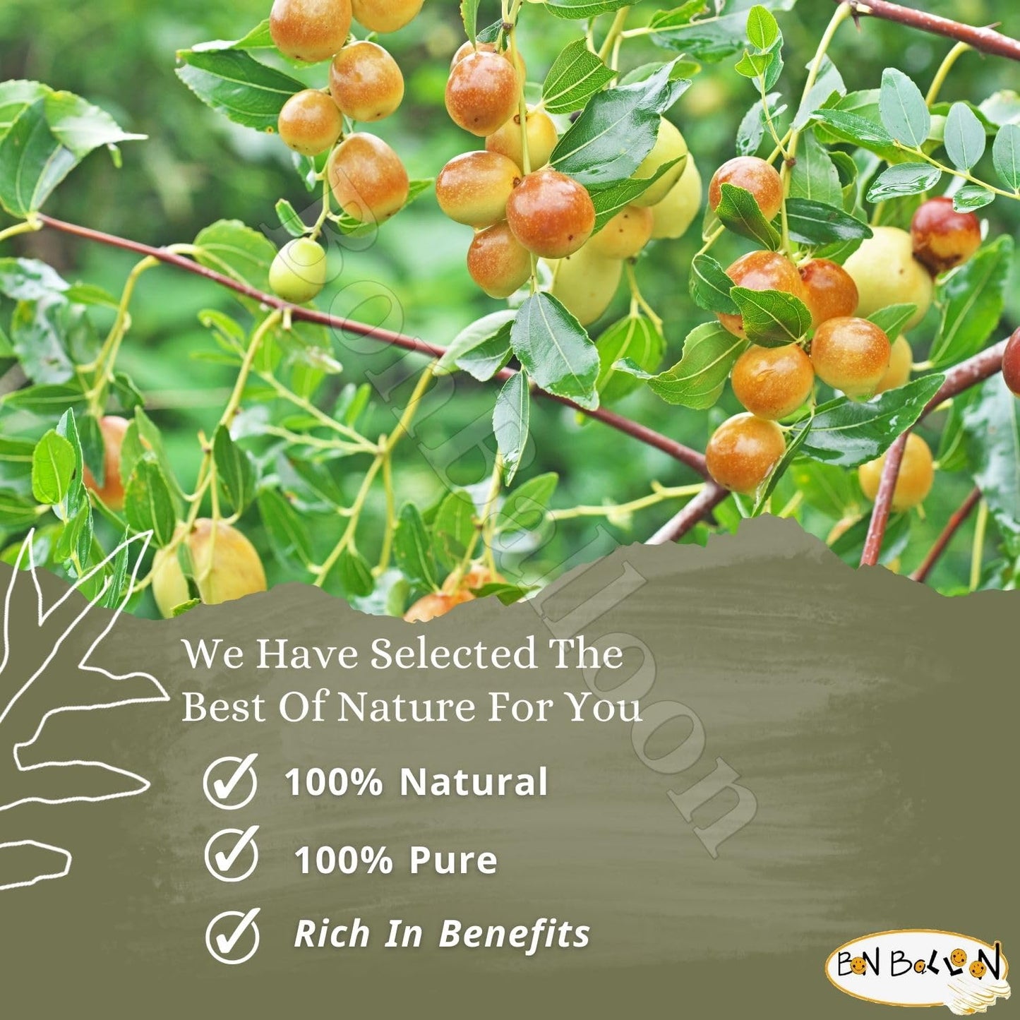 Wholesale Seder Sidr Dried Broken Leaves Leaf Egyptian Egypt Herbal Herbals Herb Herbs Arab Arabic Arabian No Additives Non Gmo Kosher Halal Skin Hair