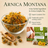 Bruizex Arnica Tea for Bruising and Swelling, Post Surgery Recovery after Liposuction, Tummy Tuck, 360 Lipo, BBL I Blend For Lymphatic Drainage