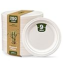 GUSTO 100% Compostable 9 Inch Paper Plates [250 Count] White Heavy Duty Disposable Dinnerware - Sugarcane Bagasse, Eco-Friendly & Biodegradable