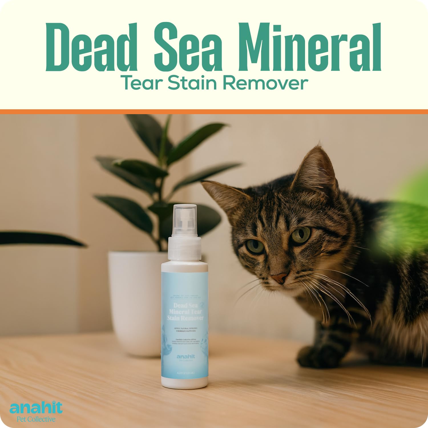 Dead Sea Mineral Tear Stain Remover for Dogs & Cats-Natural Eye Cleaner with Aloe Vera & Chamomile, Gentle Formula for Sensitive Pets, Precise