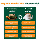 Ten Mushroom Coffee- Instant Dark Roast Coffee with 10 Organic Functional Mushrooms (Lion’s Mane, Chaga, Cordyceps, Reishi & More)- Mushroom Coffee
