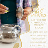 Fusion Select 100% Natural Pine Needle Tea - Fresh, Natural Loose Leaf Herbal Teas for Relaxation, Immunity & Health - Dried Pine Needles