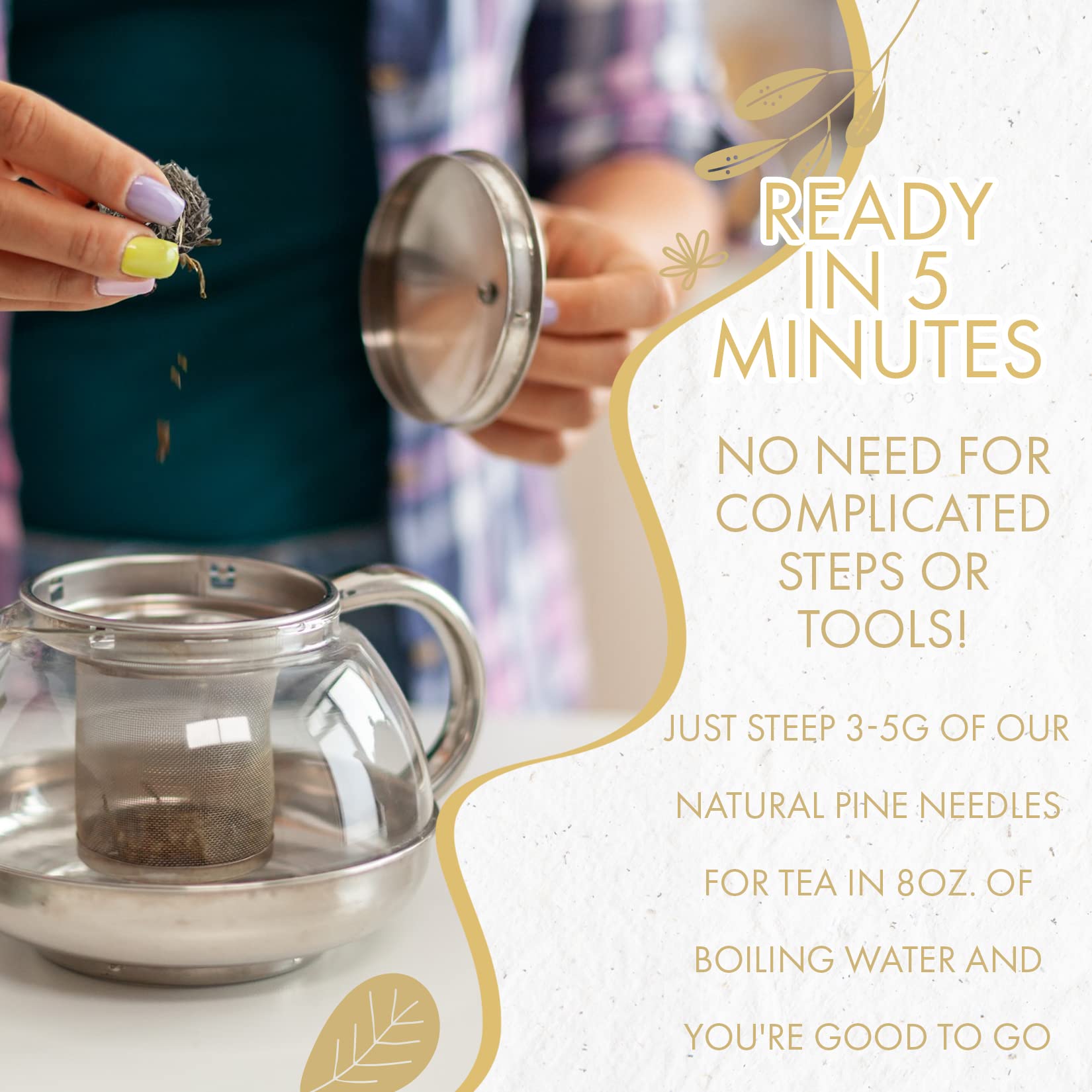 Fusion Select 100% Natural Pine Needle Tea - Fresh, Natural Loose Leaf Herbal Teas for Relaxation, Immunity & Health - Dried Pine Needles