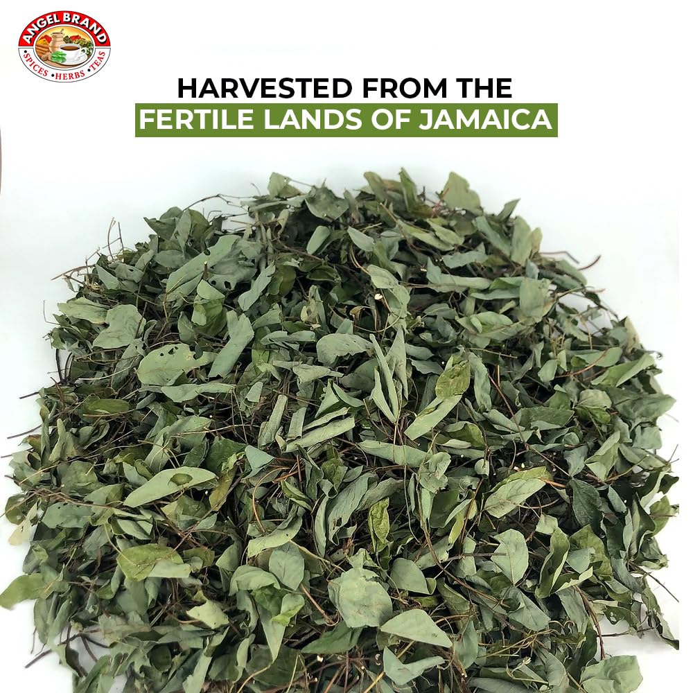 Angel Brand Jamaican Strongback Herb 0.25 oz Pouch Pack of 3 - Sourced from Fertile Land of Jamaica- Strongback Earthy,Woody & Bitter Flavor - Provide