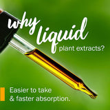 Herb Pharm Certified Organic Wood Betony Liquid Extract - 1 Ounce