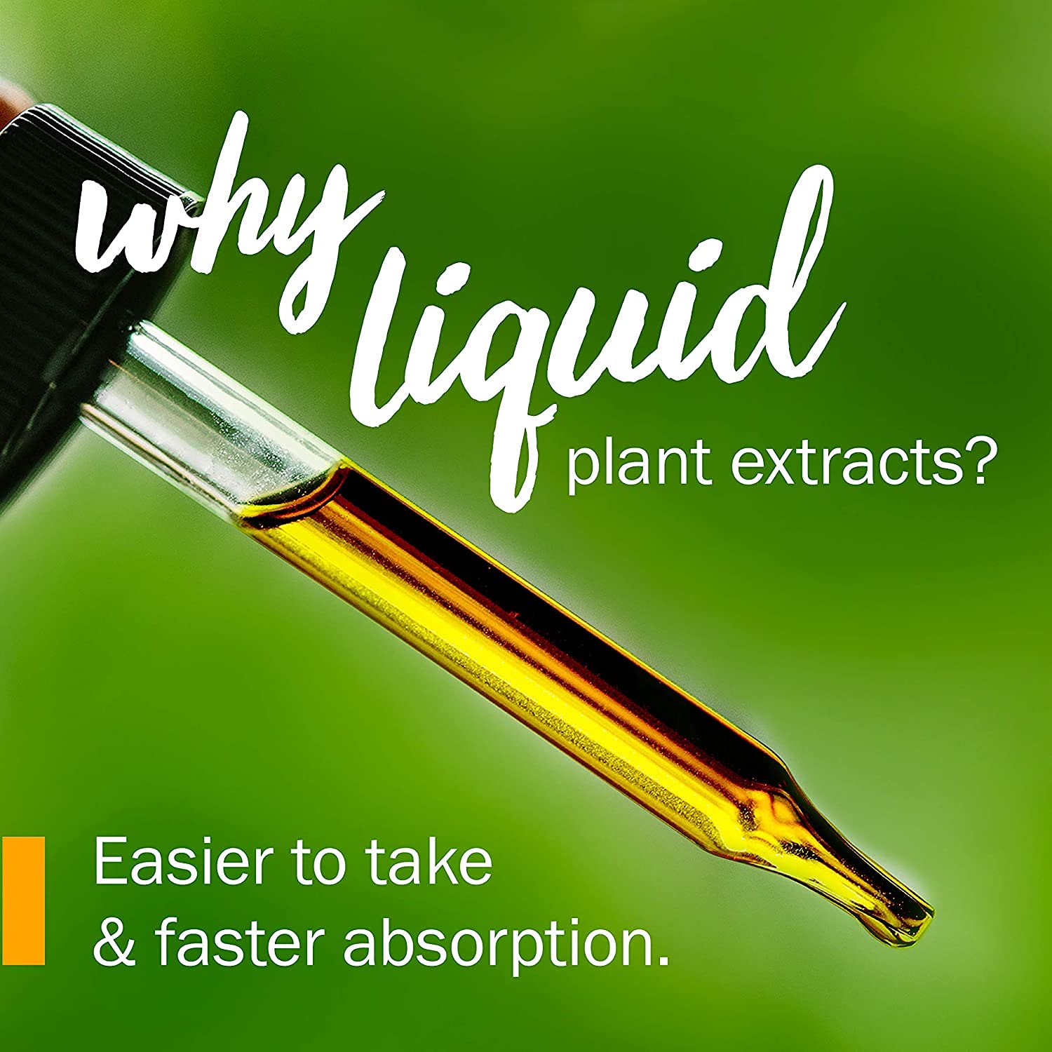 Herb Pharm Certified Organic Wood Betony Liquid Extract - 1 Ounce