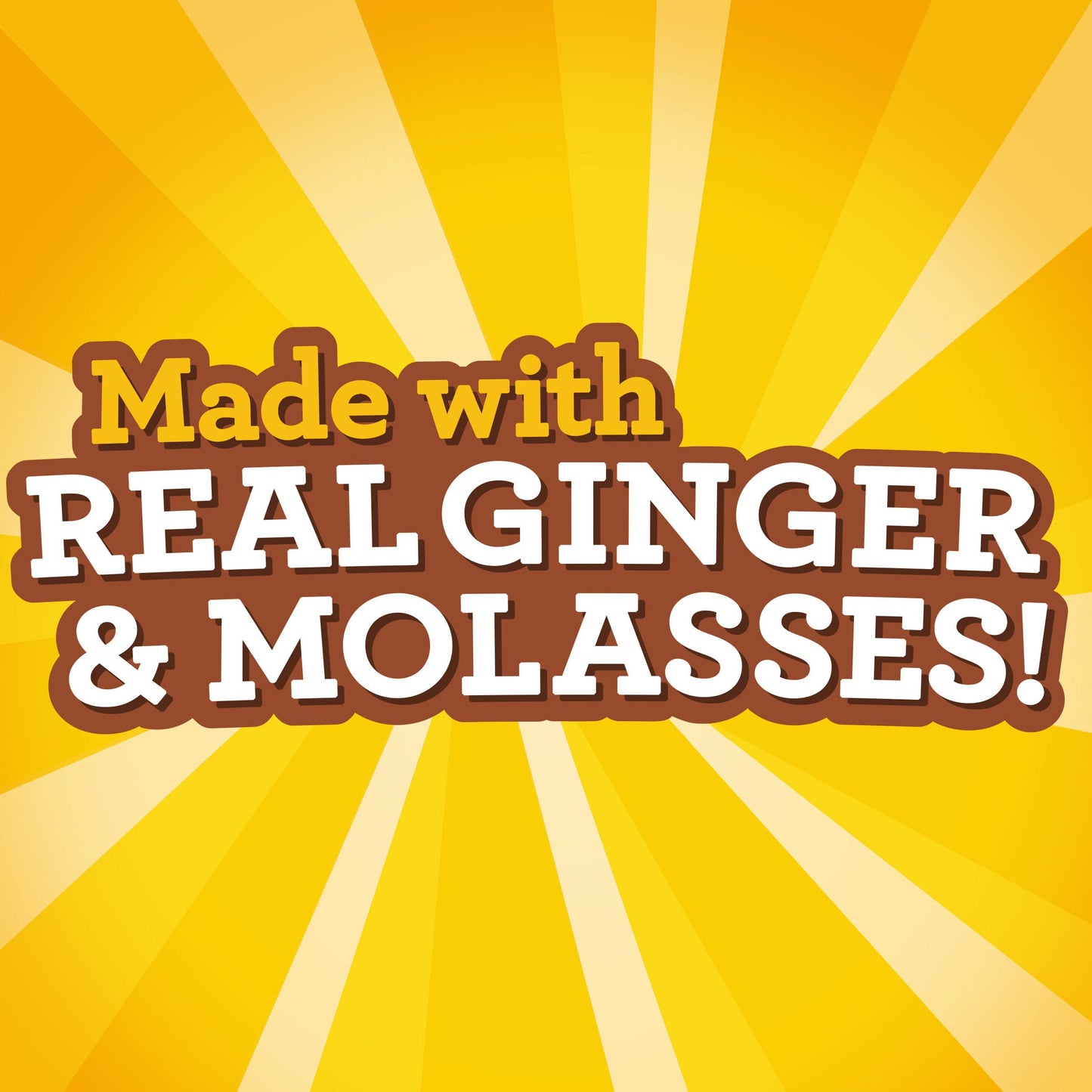 Ginger Snaps Cookies, Ginger Cookies, 16 oz