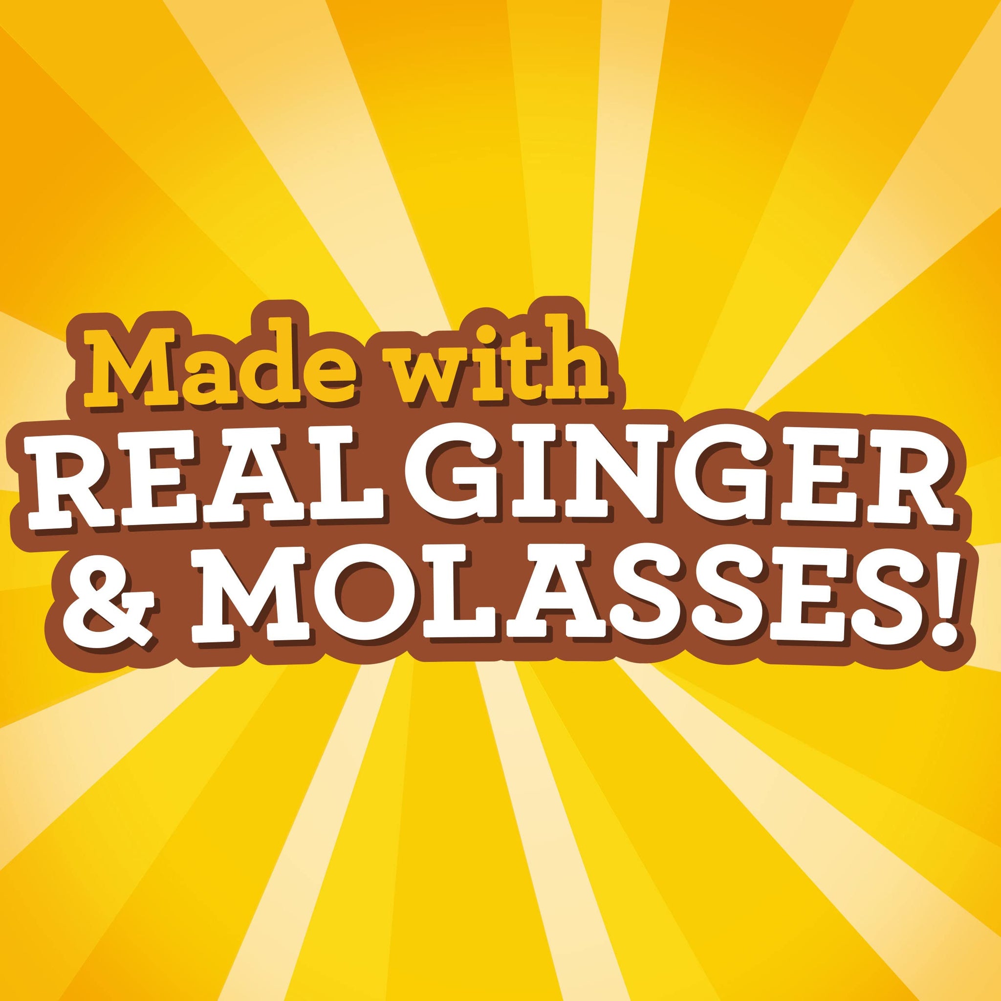 Ginger Snaps Cookies, Ginger Cookies, 16 oz