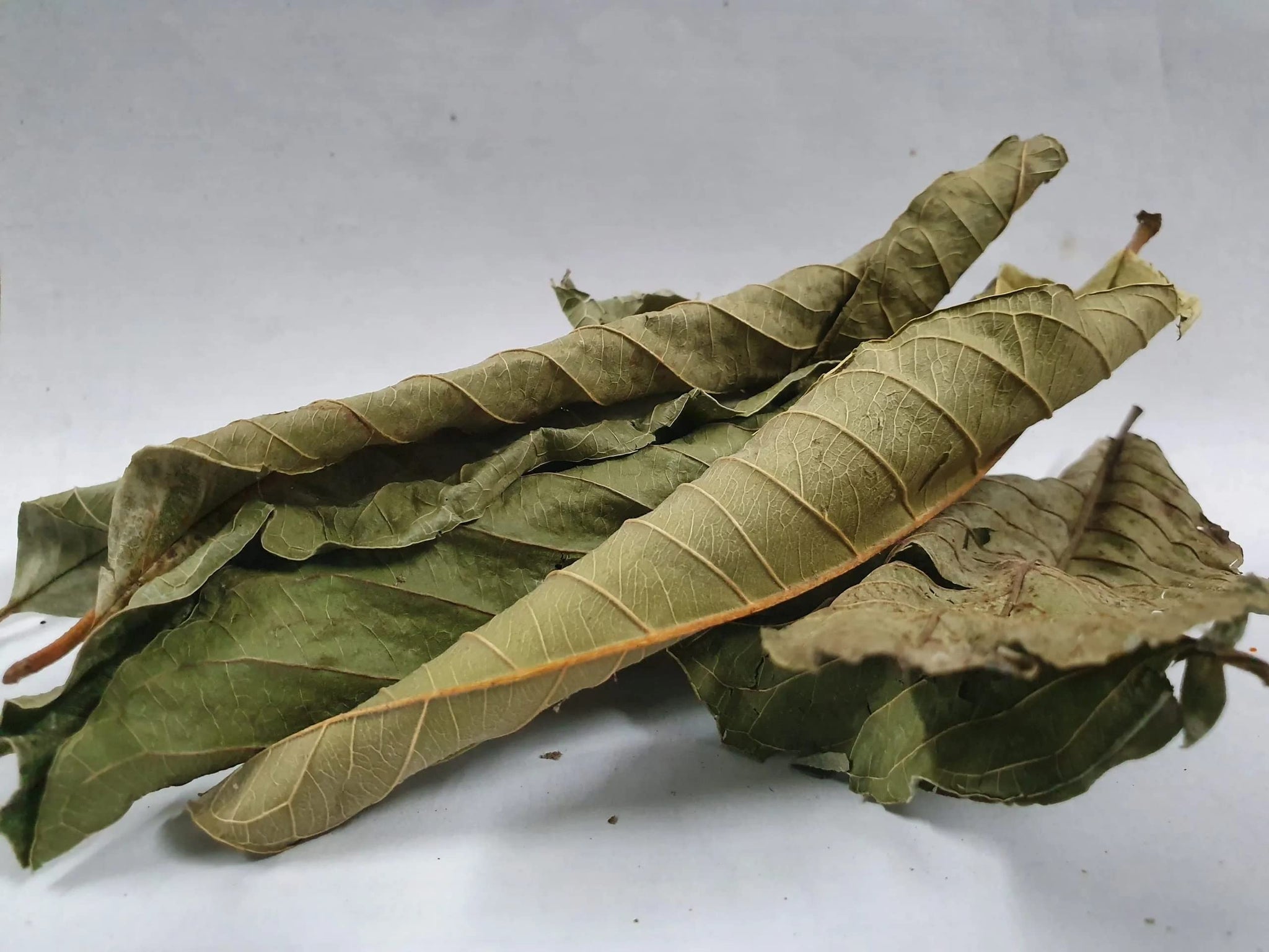 Dried Guava Leaves, Hojas de Guayaba, Loose Guava Leaf Tea 2 oz and 4 oz (4 OZ)