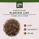 Plantain Leaf Cut & Sifted, by Herb Co, Plantago Major, from Albania, Kosher, for Tea, Soaps, Lotions, Salves & Skincare, 1 lb