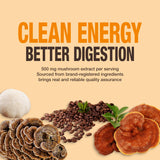 Organic Mushroom Coffee - 30% Beta-Glucans, Arabica Instant Coffee Infused with Fungipure™ Mushrooms - Lions Mane, Reishi, Turkey Tail, 72 Grams - 36