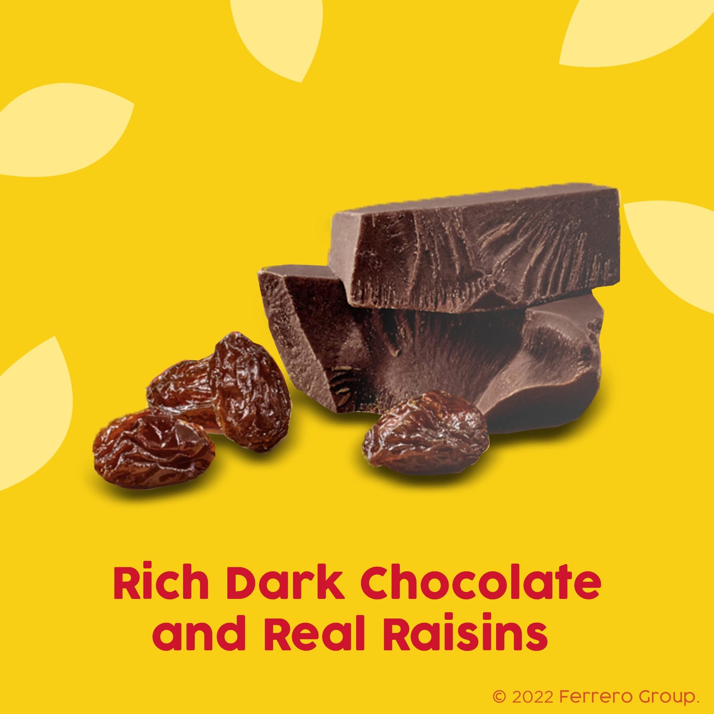 Raisinets, Dark Chocolate Covered California Raisins, Movie Theater Candy Box, 3.1 oz each, Bulk 15 Pack