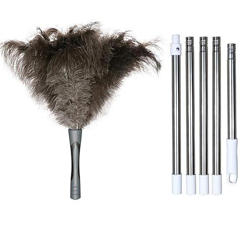 Midoneat Gray Ostrich Feather Duster with 71 Inch Extendable Pole, Microfiber Duster for Home Cleaning
