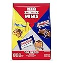BeeQ Bag (100 ct.) Assorted Chocolate Candy Variety Pack - Bulk Halloween Candy Variety Pack - Fun Size Chocolate Candy Bars