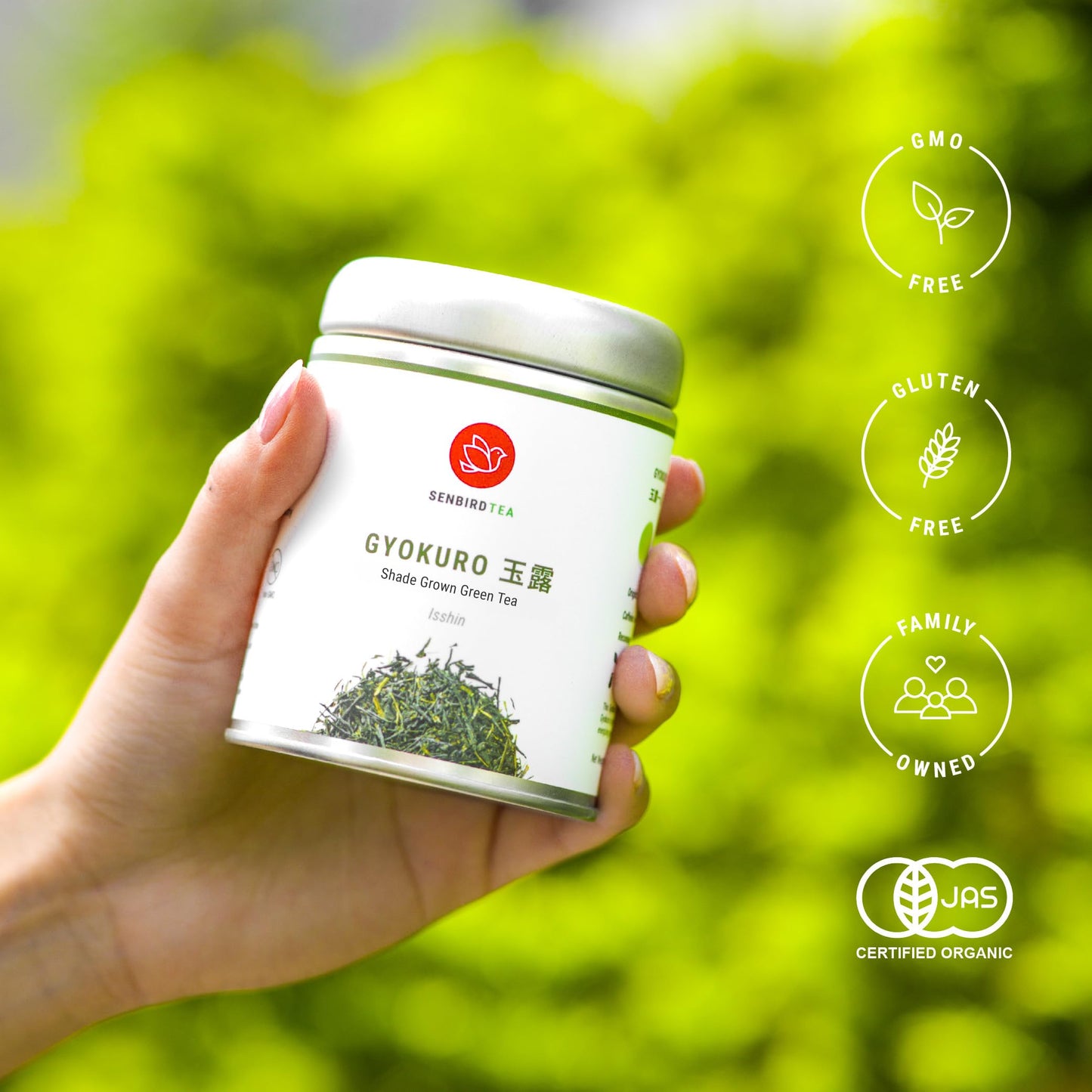 Senbird Premium Gyokuro - Japanese Shade Grown Green Tea - From Kyoto Japan - Imperial Loose Leaf Green Tea In Airtight Tea Tin (1.76oz/50g) (Isshin)