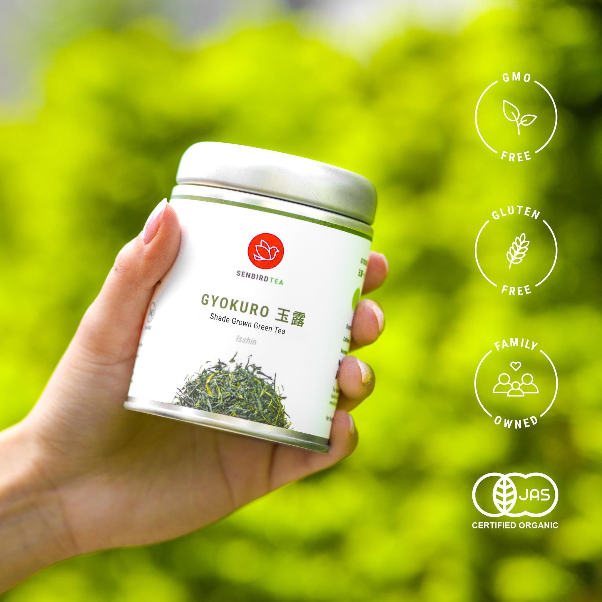 Senbird Premium Gyokuro - Japanese Shade Grown Green Tea - From Kyoto Japan - Imperial Loose Leaf Green Tea In Airtight Tea Tin (1.76oz/50g) (Isshin)