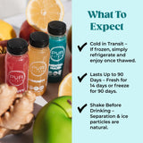PUR Wellness Shots - Immunity 12 Pack - Lemon, Cayenne Pepper, and Ginger Shots - Fresh Cold-Pressed Raw Juice Elixir - Non-GMO, Plant-Based, Pressed