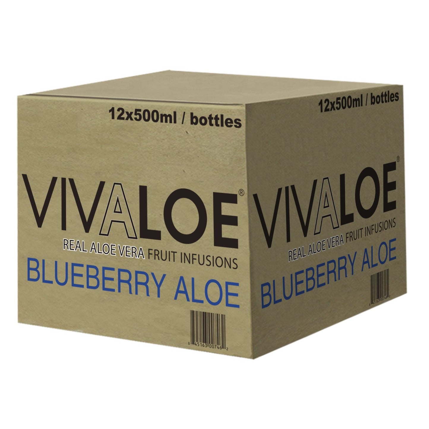 VIVALOE Blueberry Aloe 16.9fl oz (12 Pack)