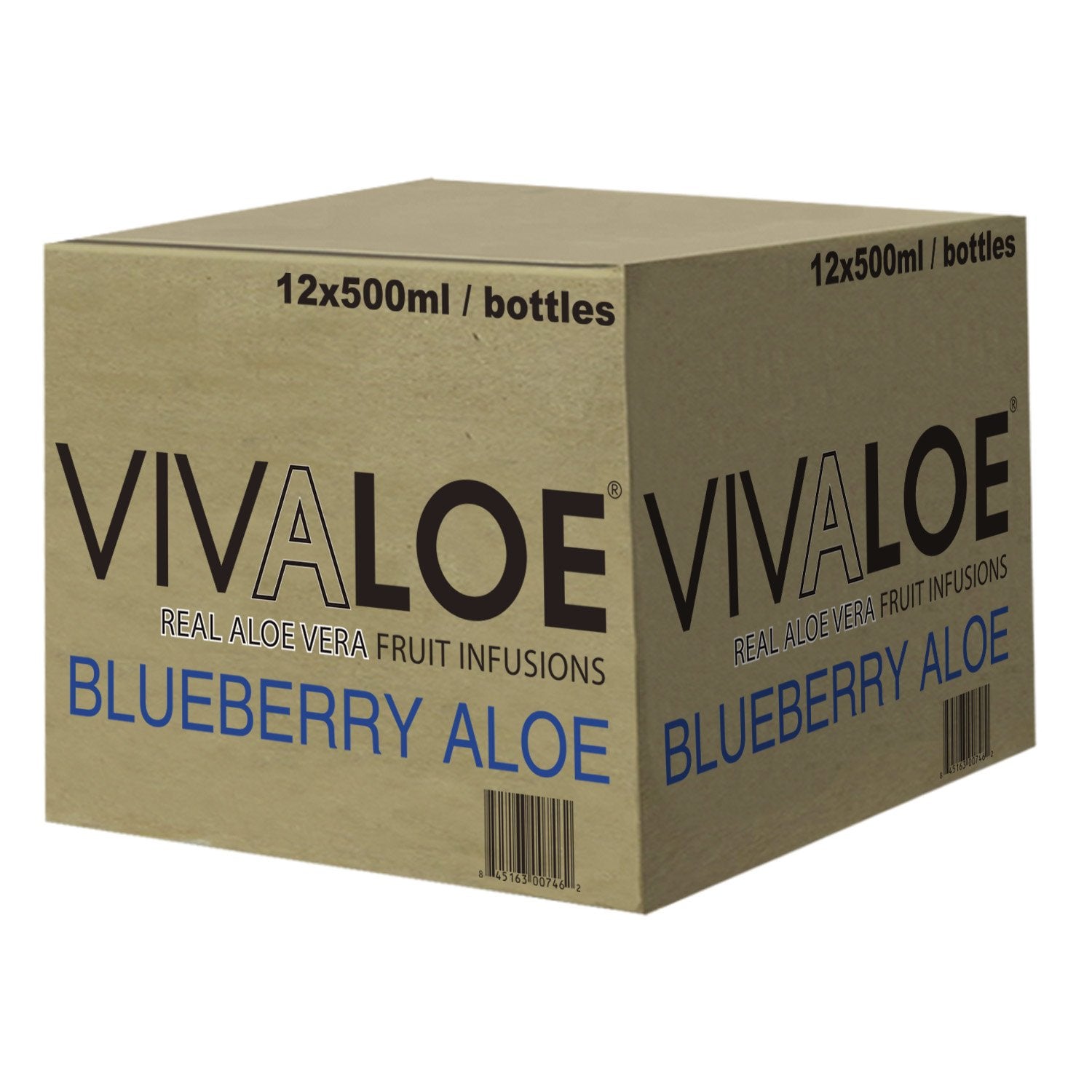 VIVALOE Blueberry Aloe 16.9fl oz (12 Pack)