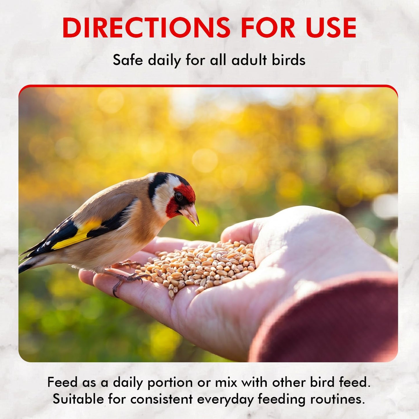 Morning Bird Steel Cut Oats 4.5 lb (3-Pack, 1.5 lb Each) - High Protein Natural Cut Oat Grain for Birds & Easy-to-Eat Pieces - Supports Balanced