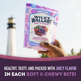 Wiley Wallaby Licorice 10 Ounce Classic Gourmet Soft & Chewy Australian Blasted Berry Candy Twists, 1 Pack