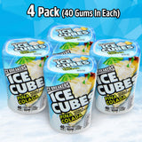 Pina Colada Gum to Enjoy Home Snaking Moments - Sugar Free Refreshingly Cool Cubed Chewing Gum for Mother's Day, Kids School Bags, Party Favors