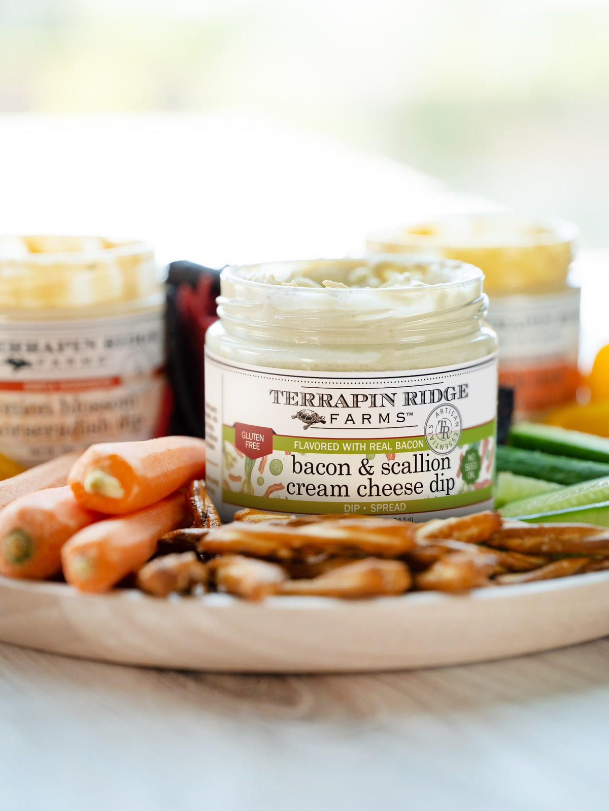 Terrapin Ridge Farms Bacon Scallion Cream Cheese Dip, 11 oz