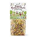 Food to Live Organic Numberini Pasta - Eat. Play. Learn, 8.8 oz (Pack of 1) - Multicolor Italian Fun Kid's Pasta, Made with Roots and Vegetables