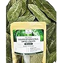 Laksaru 100% Organic Dried 100+ Soursop Leaves - Premium Graviola Leaves for Tea & Wellness, Handpicked and Sun-Dried From Ceylon Sri Lanka